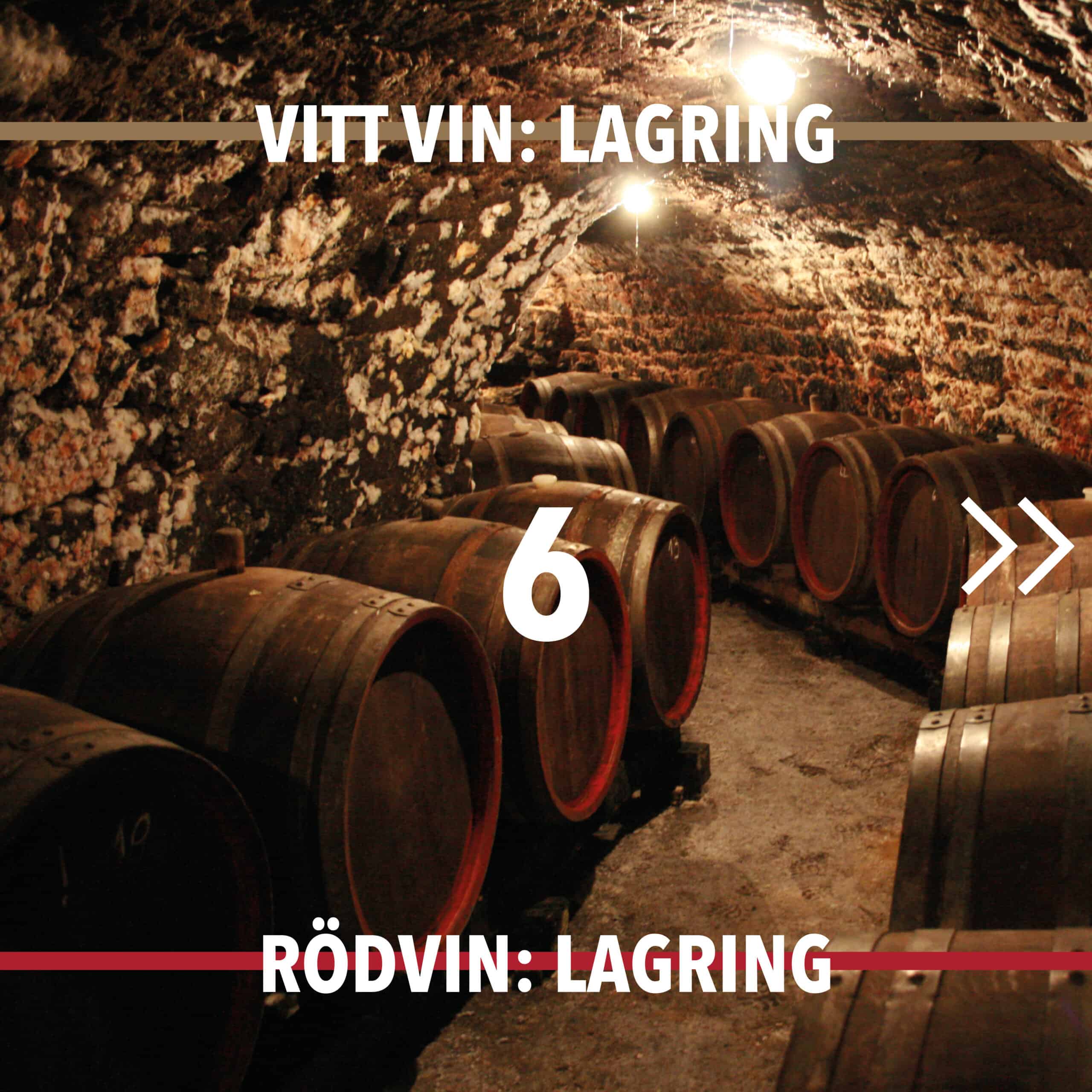 Vintillverkning guide hungry wines: lagring